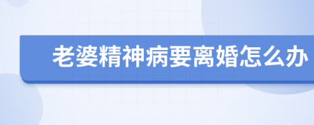 老婆精神病要离婚怎么办