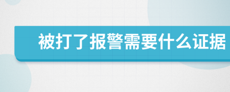 被打了报警需要什么证据