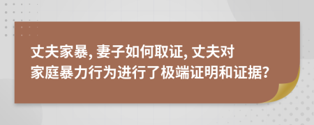 丈夫家暴, 妻子如何取证, 丈夫对家庭暴力行为进行了极端证明和证据？