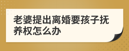 老婆提出离婚要孩子抚养权怎么办