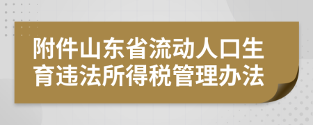 附件山东省流动人口生育违法所得税管理办法