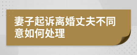 妻子起诉离婚丈夫不同意如何处理