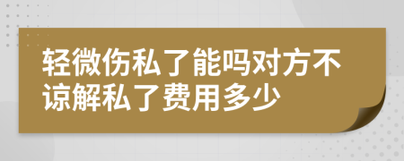 轻微伤私了能吗对方不谅解私了费用多少