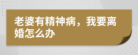 老婆有精神病，我要离婚怎么办