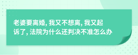 老婆要离婚, 我又不想离, 我又起诉了, 法院为什么还判决不准怎么办