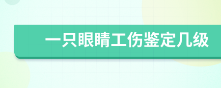 一只眼睛工伤鉴定几级