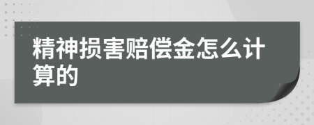 精神损害赔偿金怎么计算的