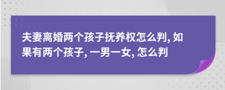 夫妻离婚两个孩子抚养权怎么判, 如果有两个孩子, 一男一女, 怎么判