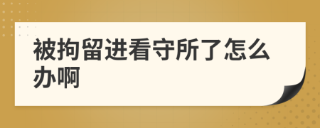 被拘留进看守所了怎么办啊