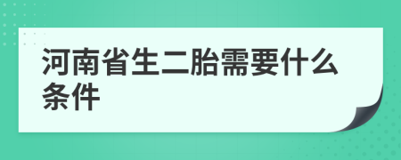 河南省生二胎需要什么条件