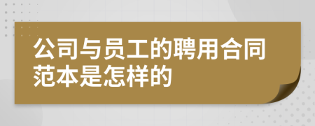 公司与员工的聘用合同范本是怎样的