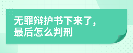 无罪辩护书下来了, 最后怎么判刑