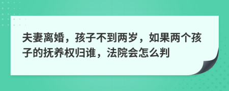 夫妻离婚，孩子不到两岁，如果两个孩子的抚养权归谁，法院会怎么判