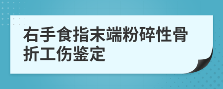 右手食指末端粉碎性骨折工伤鉴定