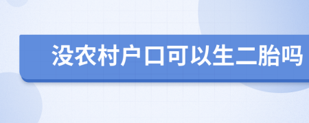 没农村户口可以生二胎吗