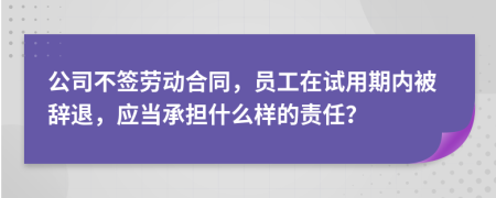 公司不签劳动合同，员工在试用期内被辞退，应当承担什么样的责任？