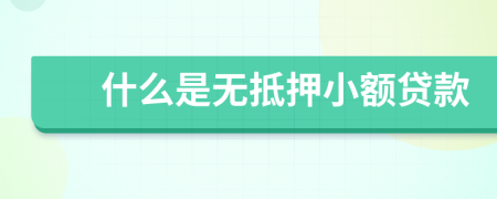 什么是无抵押小额贷款