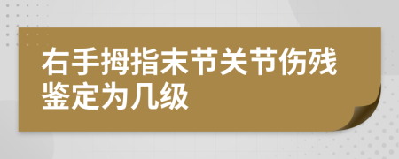 右手拇指末节关节伤残鉴定为几级