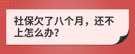 社保欠了八个月，还不上怎么办？