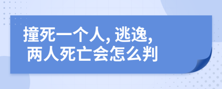 撞死一个人, 逃逸, 两人死亡会怎么判