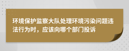 环境保护监察大队处理环境污染问题违法行为时，应该向哪个部门投诉