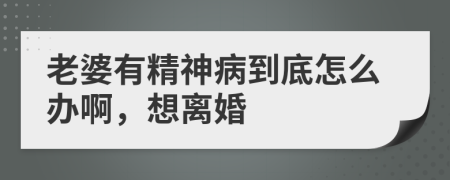 老婆有精神病到底怎么办啊，想离婚