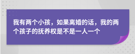 我有两个小孩，如果离婚的话，我的两个孩子的抚养权是不是一人一个