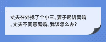 丈夫在外找了个小三, 妻子起诉离婚, 丈夫不同意离婚, 我该怎么办?