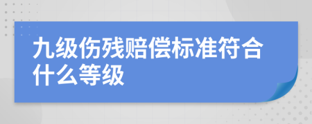 九级伤残赔偿标准符合什么等级