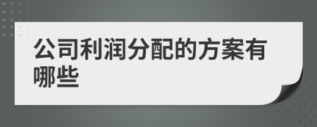 公司利润分配的方案有哪些