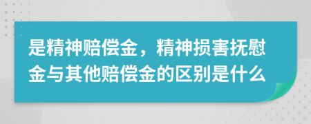 是精神赔偿金，精神损害抚慰金与其他赔偿金的区别是什么