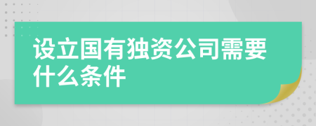 设立国有独资公司需要什么条件