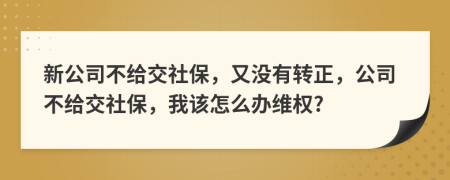 新公司不给交社保，又没有转正，公司不给交社保，我该怎么办维权?