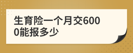 生育险一个月交6000能报多少