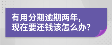 有用分期逾期两年, 现在要还钱该怎么办？