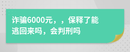 诈骗6000元，，保释了能逃回来吗，会判刑吗