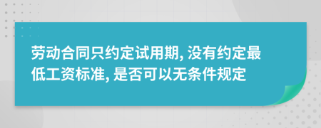 劳动合同只约定试用期, 没有约定最低工资标准, 是否可以无条件规定