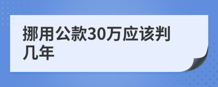 挪用公款30万应该判几年