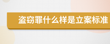 盗窃罪什么样是立案标准