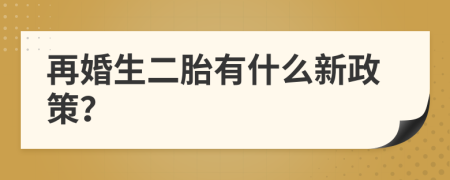 再婚生二胎有什么新政策？