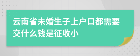 云南省未婚生子上户口都需要交什么钱是征收小