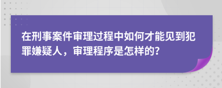 在刑事案件审理过程中如何才能见到犯罪嫌疑人，审理程序是怎样的？