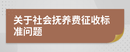 关于社会抚养费征收标准问题