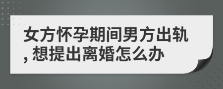 女方怀孕期间男方出轨, 想提出离婚怎么办