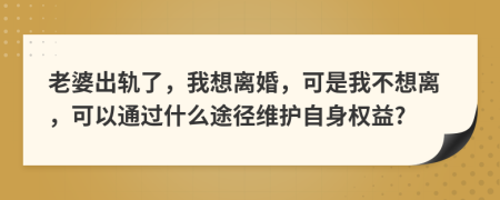 老婆出轨了，我想离婚，可是我不想离，可以通过什么途径维护自身权益?