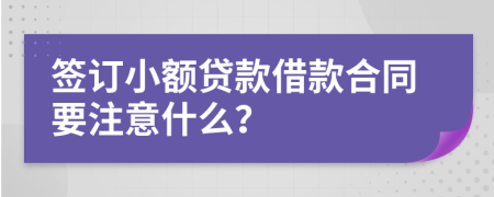 签订小额贷款借款合同要注意什么？