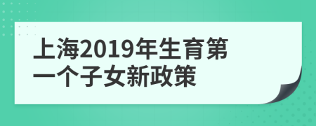 上海2019年生育第一个子女新政策