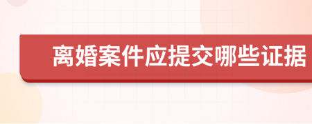 离婚案件应提交哪些证据