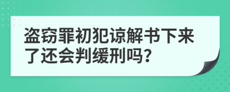 盗窃罪初犯谅解书下来了还会判缓刑吗？