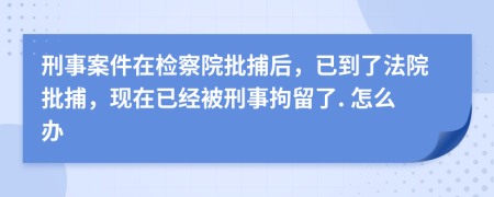 刑事案件在检察院批捕后，已到了法院批捕，现在已经被刑事拘留了. 怎么办